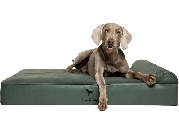 NOAH & PAW Dog Beds- Size and Style VARIES - Gallery 6