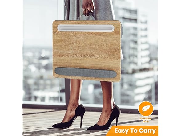 Flycity Laptop Lap Desk with Cushion