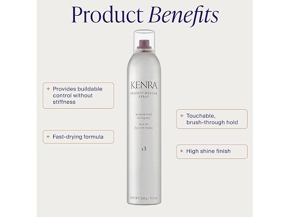 Kenra Professional Perfect Medium Spray 13 80