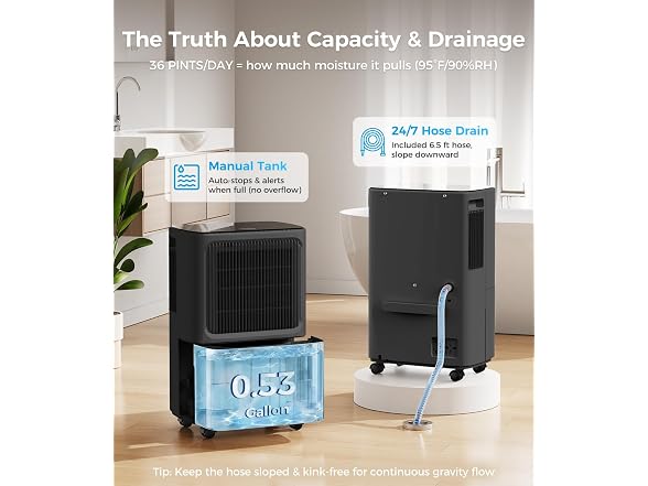 VEAGASO 2,800 Sq.Ft Dehumidifier