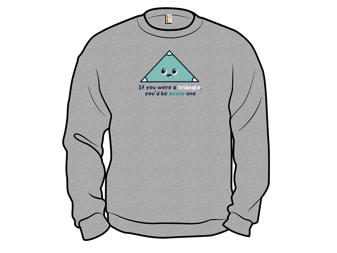 You're Acute Triangle - Gallery 11