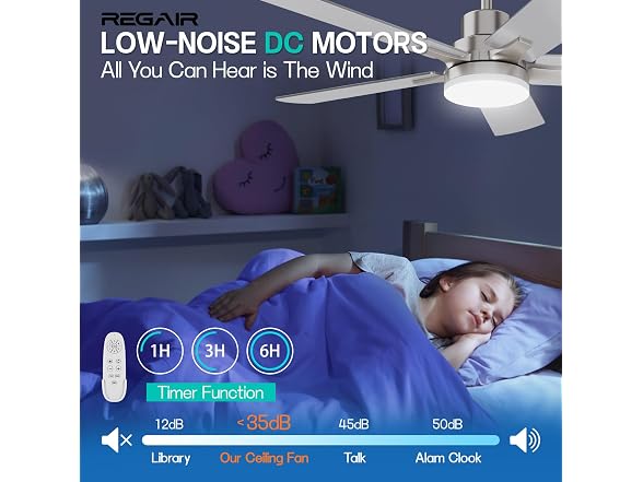 Regair Ceiling Fan
