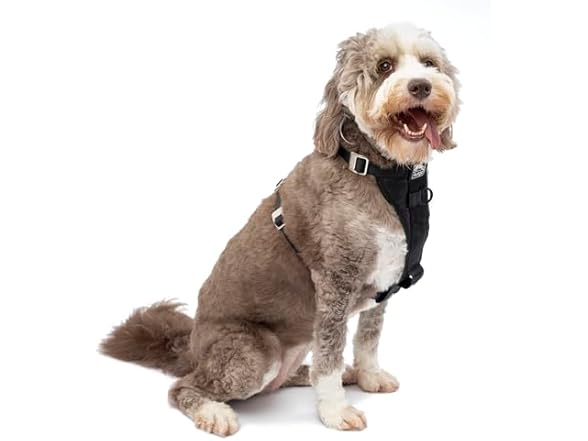 Kurgo Tru-Fit Dog Car Harness - Black XL