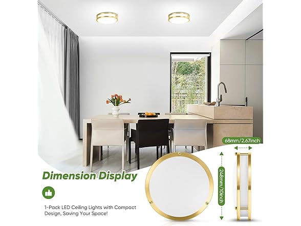 10 Inch LED Flush Mount Ceiling Light, 1Pk