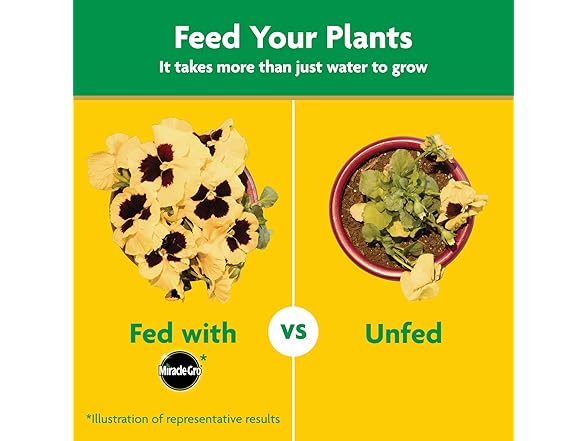 Miracle-Gro Water Soluble All Purpose Plant Food