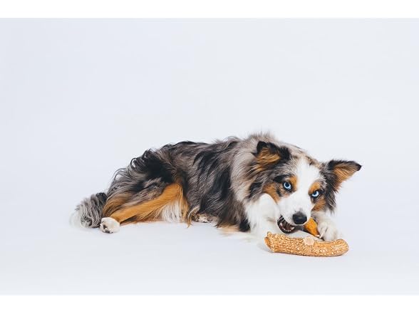 Pet Qwerks Nylon Antler Liver Flavor