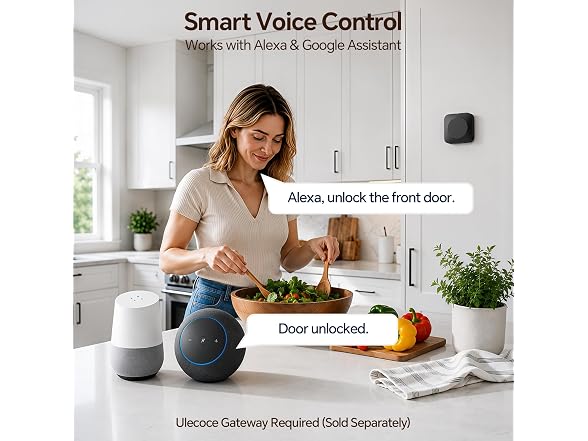 Ulecoce SL03 Front Door Lock Set