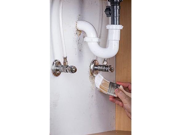 Zinsser Mold Killing Primer, 4 Pack