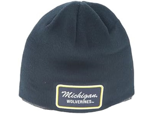 Michigan Wolverines / Team Color