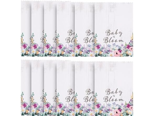 Fun Express Fun Express Baby in Bloom Treat Bags with