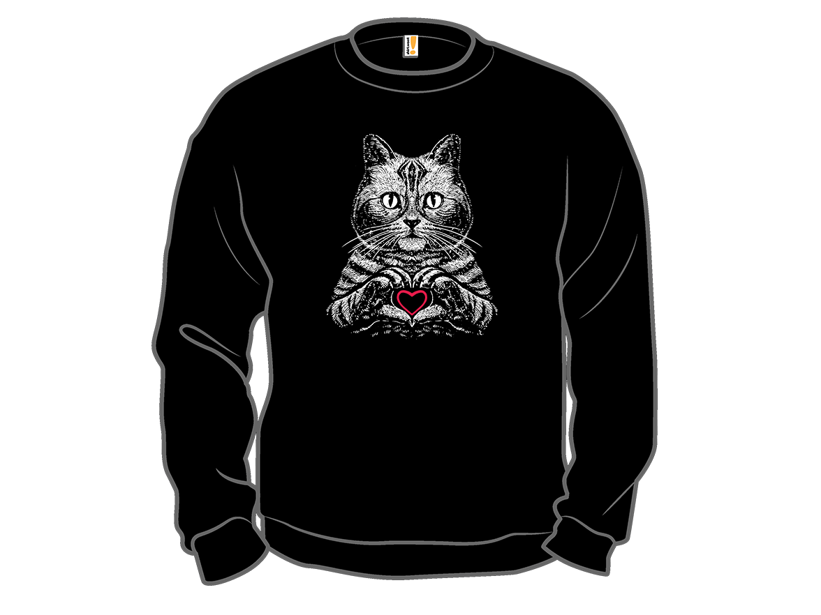 American Shorthair True Affection - Gallery 11