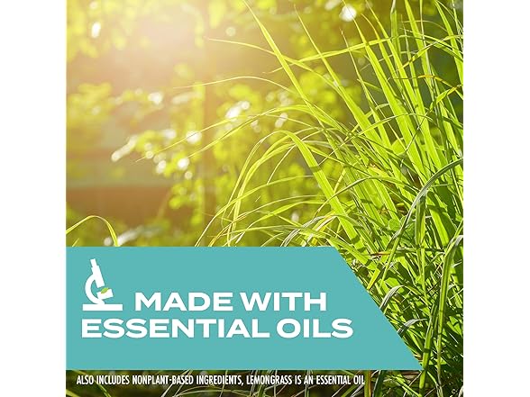 STEM STEM Kills Flies, Mosquitoes And Gnats: