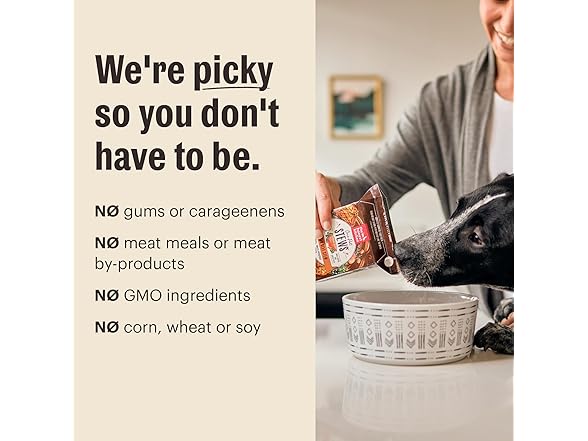 The Honest Kitchen Human Grade Wet Dog Food