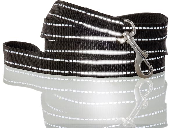 Pet Passion 2-Pack MAX - The Hardy Reflective Collar - Gallery 4