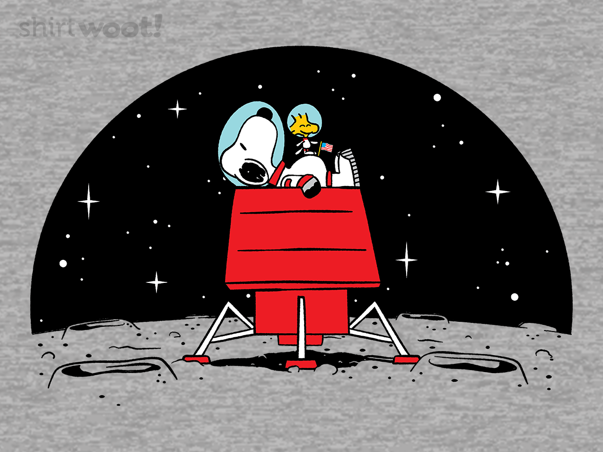 Beagle has landed - Gallery 4