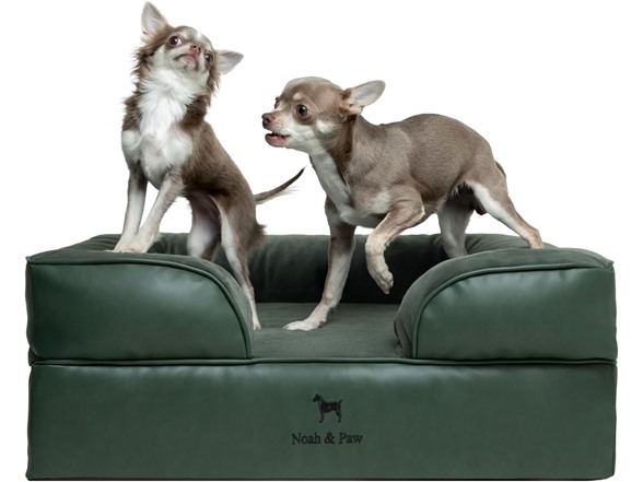 NOAH & PAW Dog/Cat Sofa- Medium