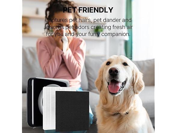 Coway Air Purifier Filter H13 HEPA 6Pk