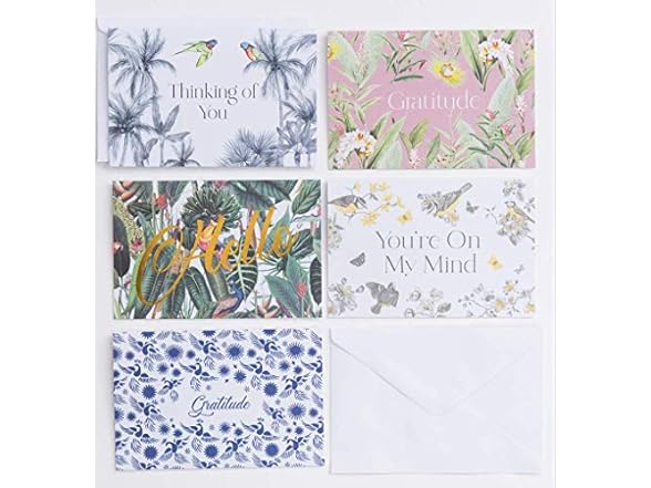 Polite Society Assorted Greeting Cards