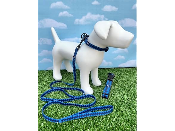 Hamilton Adjustable Waterproof Dog Collar, Blue Md/Lg