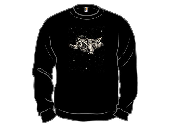 Astronaut Raccoon