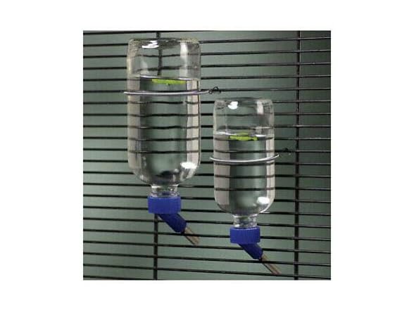 LIXIT Chew Proof Glass Water Bottle 16oz