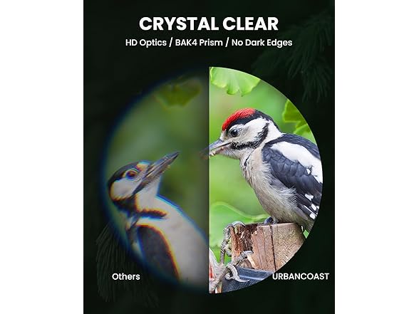 URBANCOAST Monocular | 8x32