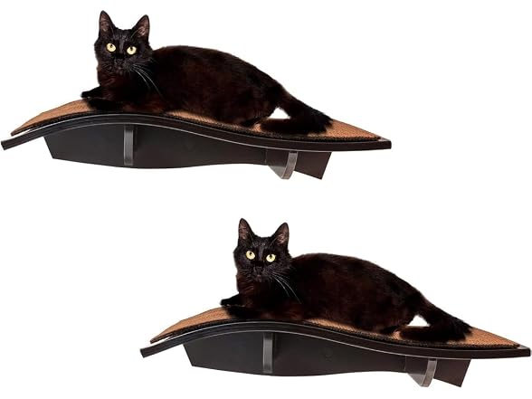 Arf Pets Cat Shelf, Wall-Mounted Desined Wooden Cat Perch