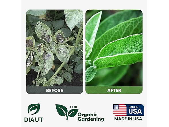 DIAUT Neem Oil Peppermint Spray