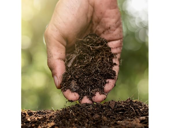 Jobe's 09926 Organic Compost Starter