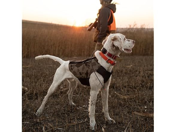 Carhartt Pet Vests, Neoprene Vest, S, CH Duc