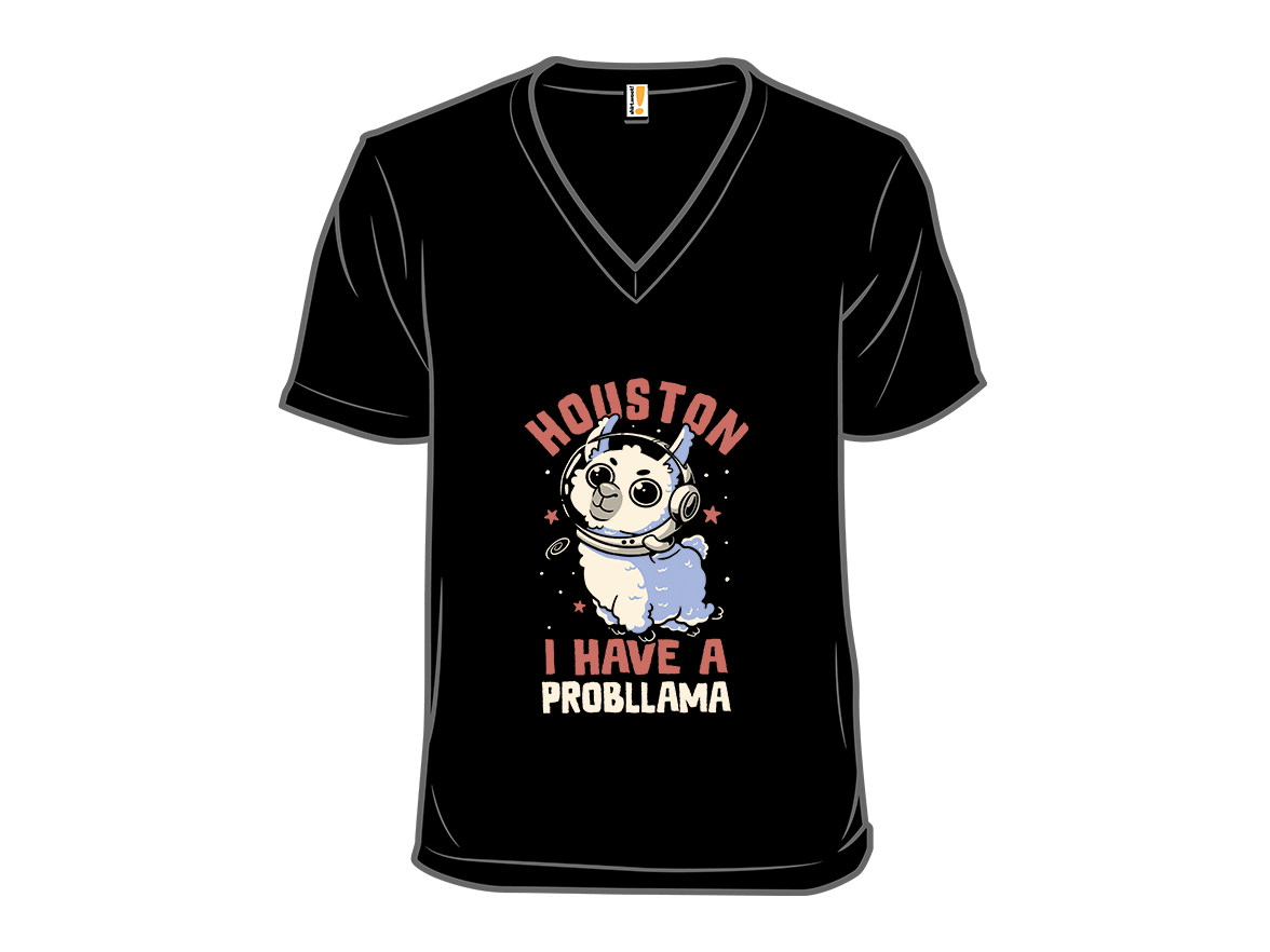 Houston I Have a Probllama - Gallery 10