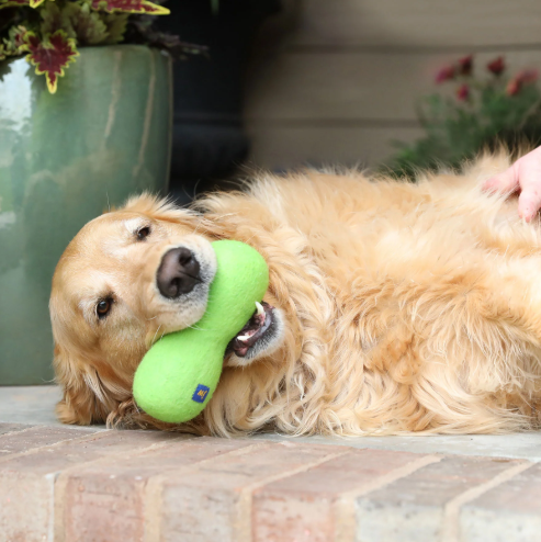 JW Wool-EE Bone 100% Wool Dog Toy - Gallery 8