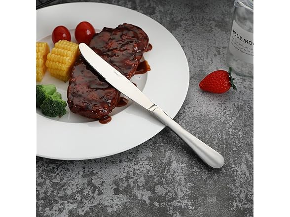 HOMECHAN 16 Piece Stainless Steel