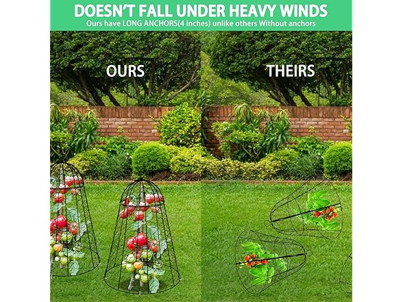 Sapbontchi XL Garden Cloches 6-Pack