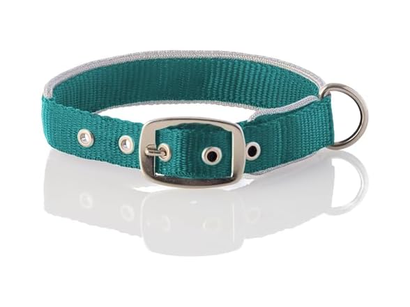 Silver/Turquoise