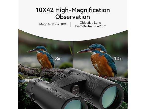 SVBONY SV202 10x42 ED Binocular
