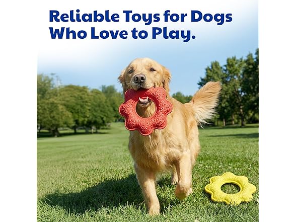 American Kennel Club AKC Sport Wavy Ring