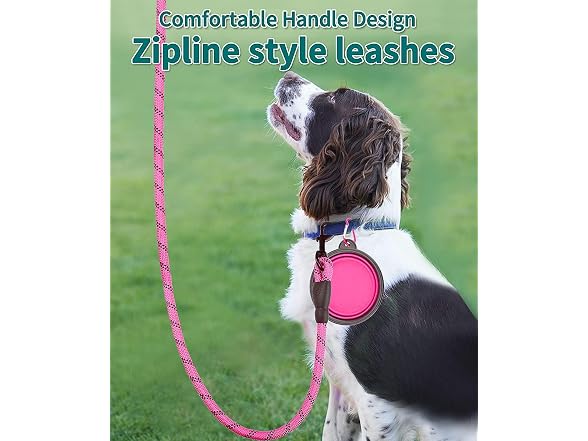 DOYOO 10FT Thick Durable Nylon Dog Rope