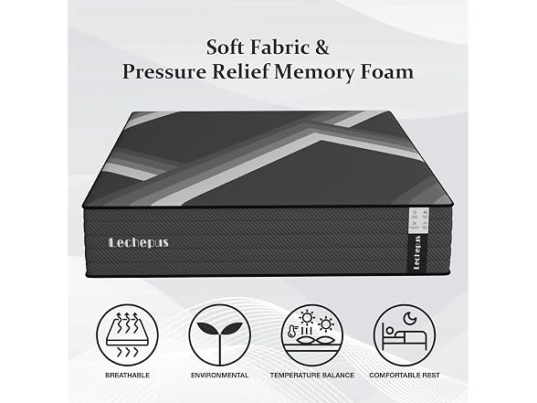 Lechepus 10Inch Queen Mattress in Box
