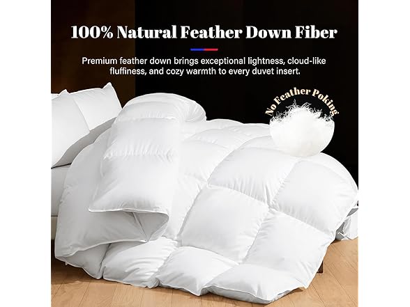 Duvet Insert Twin Size Feather Down Comforter