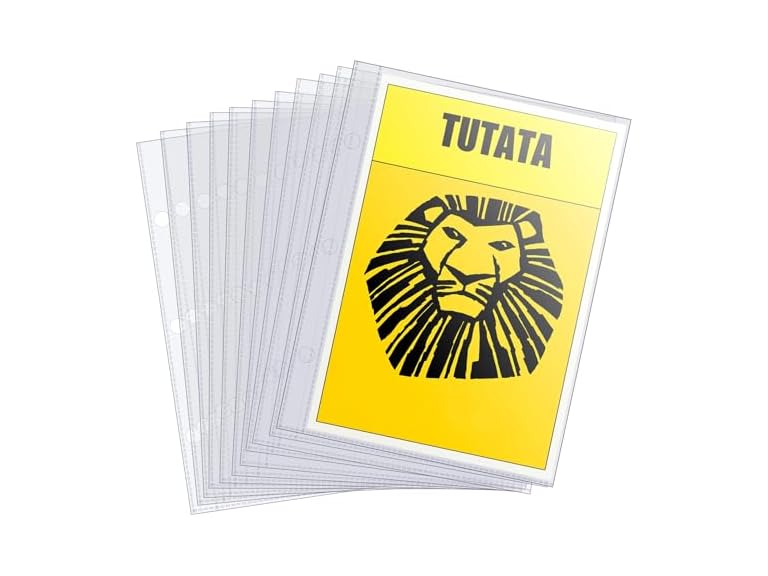 100 Pack Page Protectors For 6x9" Sheets