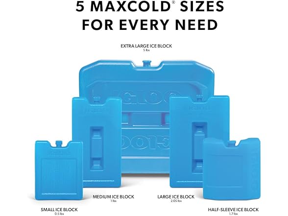 Igloo Medium Maxcold 2 Pack Ice Block