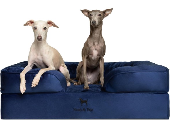 NOAH & PAW Dog/Cat Sofa- Large