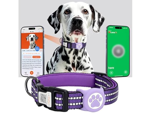 ILFINDYOU Dog Collar with Airtag Holder
