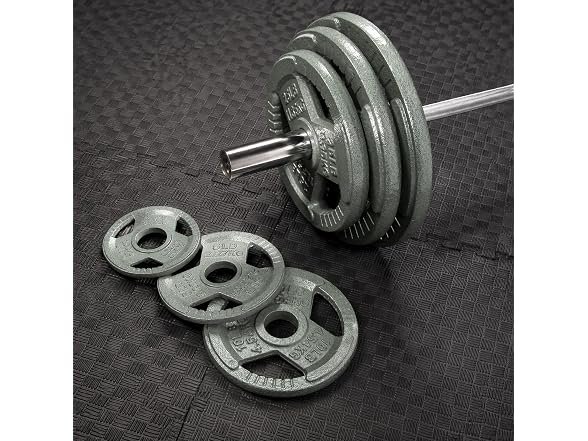 Fitvids Cast Iron Plate Weight Plate– 10LB (Pair)
