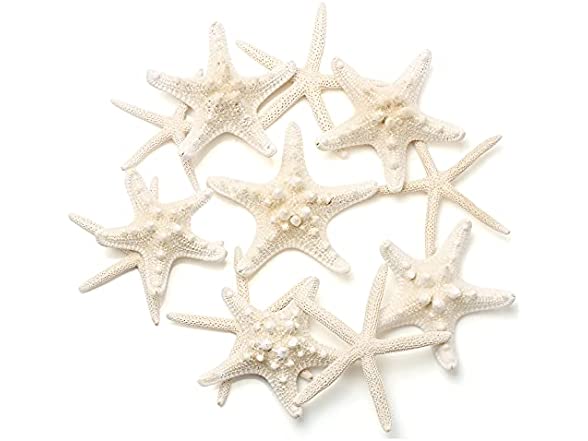 UEIEU 12 PCS Starfish Decor | 2.5-6 Inch