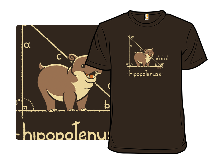 Hypotenuse - Gallery 3