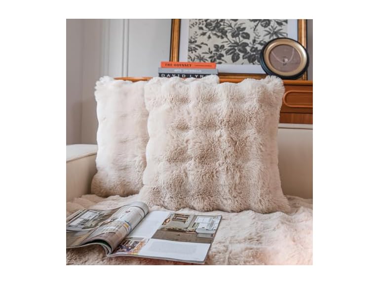 Cozy Faux Fur Throw Pillow Covers 2 Pack