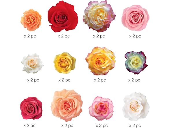 Paper House Productions Rose Garden 24-Piece