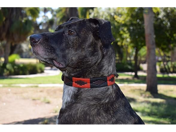 Gaucho Goods Soft Leather Dog Collar Girl